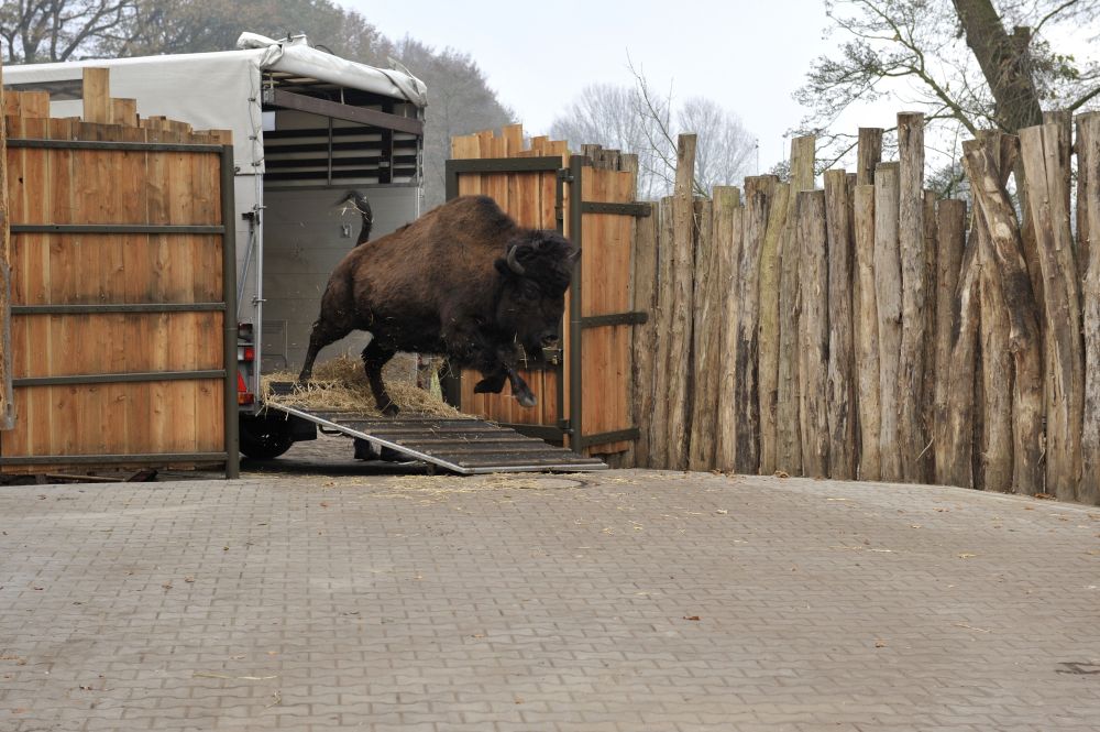 Tierpark Nordhorn Gibt Wappentiere An Den Zoo Osnabruck Tierpark Nordhorn