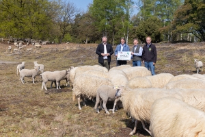 Scheckübergabe bei dem Schafauftrieb in Tillenberge