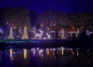 Panorama des Weihnachtsmarktes im Tierpark Nordhorn