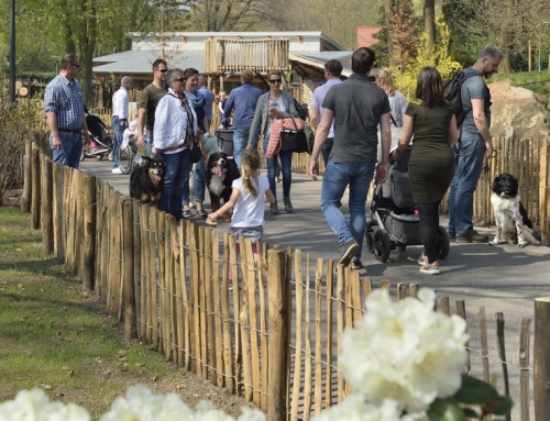 Beliebte „Niedersächsische Zootage“ am 28. und 29. September